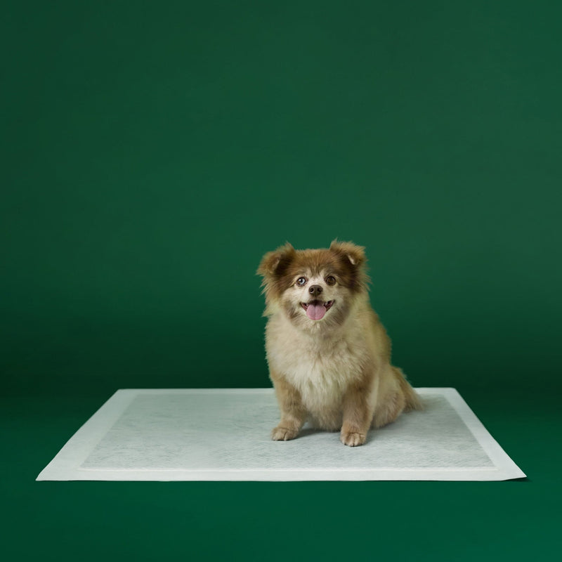 Disposable Dog Pee Pads with AbsorbShield+ Technology S0